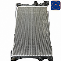 A2465001303 WATER RADIATOR MERCEDES-BENZ - View 1