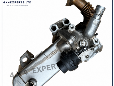 BFD074651 2012 NISSAN NAVARA D40 2.5 EURO 5 EGR VALVE x52012 MM111N5 VE9005152