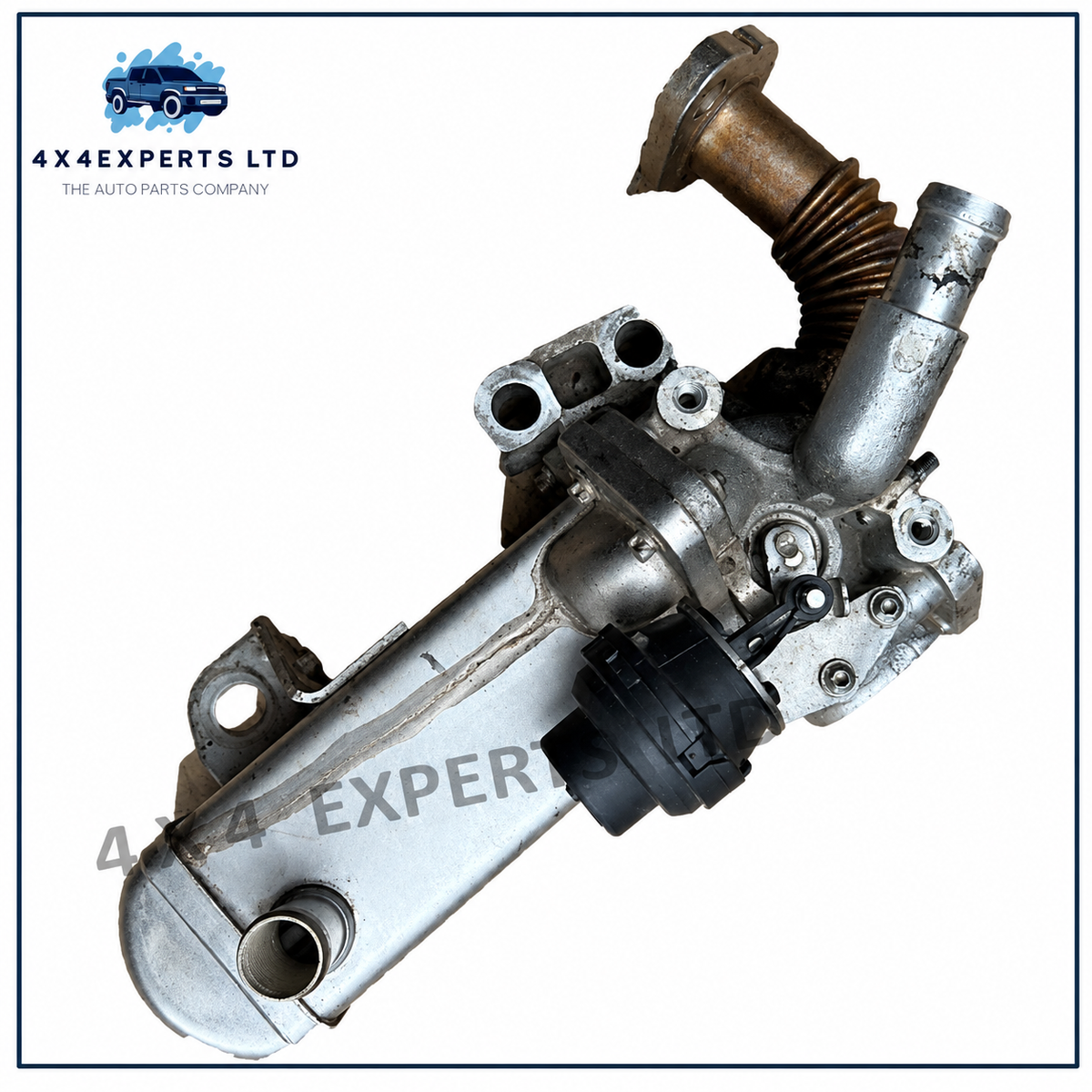 BFD074651 2012 NISSAN NAVARA D40 2.5 EURO 5 EGR VALVE x52012 MM111N5 VE9005152