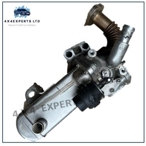 BFD074651 2012 NISSAN NAVARA D40 2.5 EURO 5 EGR VALVE x52012 MM111N5 VE9005152 - Used Auto Part